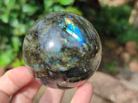 Polished Labradorite Spheres x 3 From Tulear, Madagascar - Toprock Gemstones and Minerals