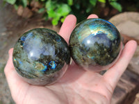 Polished Labradorite Spheres x 3 From Tulear, Madagascar - Toprock Gemstones and Minerals