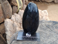Polished Black Tourmaline Standing Free Form x 2 From Madagascar - Toprock Gemstones and Minerals