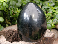 Polished Black Tourmaline Standing Free Form x 2 From Madagascar - Toprock Gemstones and Minerals