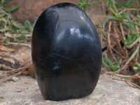 Polished Black Tourmaline Standing Free Form x 2 From Madagascar - Toprock Gemstones and Minerals