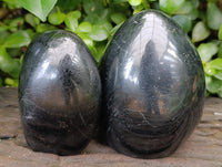 Polished Black Tourmaline Standing Free Form x 2 From Madagascar - Toprock Gemstones and Minerals