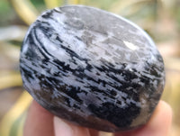 Polished Mix of Selected Galet-Palm Stones x 20 From Madagascar - Toprock Gemstones and Minerals