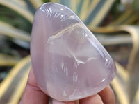 Polished Agate Free Forms x 24 From Madagascar - Toprock Gemstones and Minerals