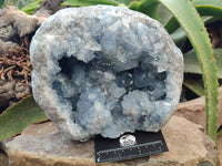 Natural Large Celestite Geode Specimens x 1 From Sakoany, Madagascar - Toprock Gemstones and Minerals