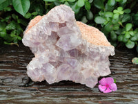 Natural Jacaranda Amethyst Quartz Cluster x 1 From Mumbwa, Zambia - Toprock Gemstones and Minerals