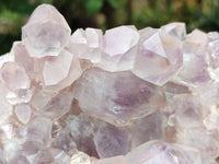 Natural Jacaranda Amethyst Quartz Cluster x 1 From Mumbwa, Zambia - Toprock Gemstones and Minerals