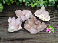 Natural Dark Amethyst Spirit Quartz Clusters x 4 From Boekenhouthoek, South Africa - Toprock Gemstones and Minerals