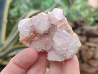 Natural Ametrine Spirit Quartz Clusters x 12 From Boekenhouthoek, South Africa - Toprock Gemstones and Minerals