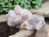 Natural Ametrine Spirit Quartz Clusters x 12 From Boekenhouthoek, South Africa - Toprock Gemstones and Minerals