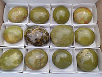 Polished Green Opal Palm Stones x 12 From Betroka, Madagascar - Toprock Gemstones and Minerals