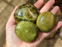 Polished Green Opal Palm Stones x 12 From Betroka, Madagascar - Toprock Gemstones and Minerals