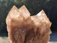 Natural Smokey Phantom Quartz Clusters x 4 From Luena, Congo - Toprock Gemstones and Minerals