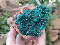 Natural Rare Dioptase and Malachite Specimen x 1 From Likasi, Congo - Toprock Gemstones and Minerals