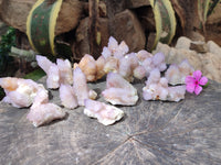 Natural Lilac Fairy Spirit Quartz Clusters x 12 From Boekenhouthoek, South Africa - Toprock Gemstones and Minerals