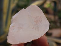 Natural Quartz Crystals x 35 from Mpika, Zambia - Toprock Gemstones and Minerals
