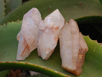 Natural Quartz Crystals x 35 from Mpika, Zambia - Toprock Gemstones and Minerals