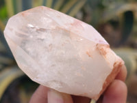 Natural Quartz Crystals x 35 from Mpika, Zambia - Toprock Gemstones and Minerals