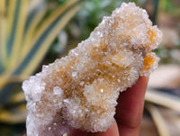 Natural Mixed Spirit Quartz Clusters x 24 From Boekenhouthoek, South Africa - Toprock Gemstones and Minerals