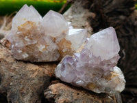 Natural Mixed Spirit Quartz Clusters x 24 From Boekenhouthoek, South Africa - Toprock Gemstones and Minerals