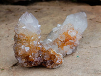 Natural Mixed Spirit Quartz Clusters x 24 From Boekenhouthoek, South Africa - Toprock Gemstones and Minerals