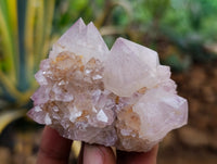 Natural Mixed Spirit Quartz Clusters x 24 From Boekenhouthoek, South Africa - Toprock Gemstones and Minerals