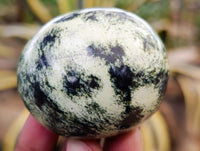 Polished Leopard Stone Palm Stones x 12 From Nyanga, Zimbabwe - Toprock Gemstones and Minerals