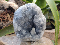 Natural Celestite Geode Specimens x 1 From Sakoany, Madagascar - Toprock Gemstones and Minerals