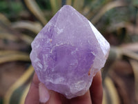 Natural Jacaranda Amethyst Quartz Crystals 12 x from Mumbwa, Zambia - Toprock Gemstones and Minerals