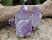 Natural Jacaranda Amethyst Quartz Crystals 12 x from Mumbwa, Zambia - Toprock Gemstones and Minerals