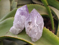 Natural Jacaranda Amethyst Quartz Crystals 12 x from Mumbwa, Zambia - Toprock Gemstones and Minerals
