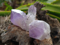 Natural Jacaranda Amethyst Quartz Crystals 12 x from Mumbwa, Zambia - Toprock Gemstones and Minerals