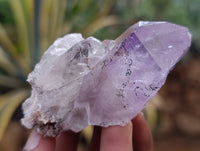 Natural Jacaranda Amethyst Quartz Crystals 12 x from Mumbwa, Zambia - Toprock Gemstones and Minerals