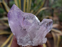 Natural Jacaranda Amethyst Quartz Crystals 12 x from Mumbwa, Zambia - Toprock Gemstones and Minerals
