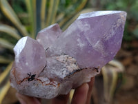 Natural Jacaranda Amethyst Quartz Clusters 6 x from Mumbwa, Zambia - Toprock Gemstones and Minerals