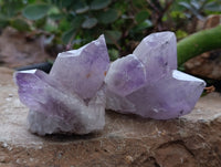 Natural Jacaranda Amethyst Quartz Clusters 6 x from Mumbwa, Zambia - Toprock Gemstones and Minerals