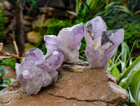Natural Jacaranda Amethyst Quartz Clusters 6 x from Mumbwa, Zambia - Toprock Gemstones and Minerals