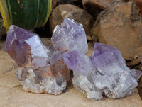 Natural Jacaranda Amethyst Quartz Clusters 6 x from Mumbwa, Zambia - Toprock Gemstones and Minerals