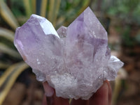 Natural Jacaranda Amethyst Quartz Clusters 6 x from Mumbwa, Zambia - Toprock Gemstones and Minerals