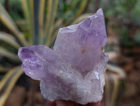 Natural Jacaranda Amethyst Quartz Clusters 6 x from Mumbwa, Zambia - Toprock Gemstones and Minerals