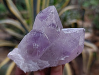 Natural Jacaranda Amethyst Quartz Clusters 6 x from Mumbwa, Zambia - Toprock Gemstones and Minerals