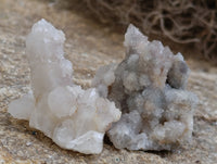 Natural Fairy Spirit Quartz Clusters x 35 From Boekenhouthoek, South Africa - Toprock Gemstones and Minerals