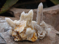 Natural Fairy Spirit Quartz Clusters x 35 From Boekenhouthoek, South Africa - Toprock Gemstones and Minerals