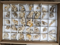 Natural Fairy Spirit Quartz Clusters x 35 From Boekenhouthoek, South Africa - Toprock Gemstones and Minerals