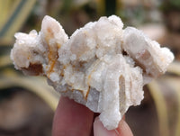 Natural Fairy Spirit Quartz Clusters x 35 From Boekenhouthoek, South Africa - Toprock Gemstones and Minerals