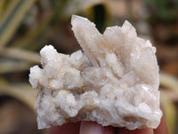 Natural Fairy Spirit Quartz Clusters x 35 From Boekenhouthoek, South Africa - Toprock Gemstones and Minerals