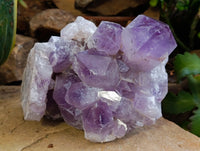 Natural Jacaranda Amethyst Quartz Cluster 1 x from Mumbwa, Zambia - Toprock Gemstones and Minerals