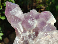 Natural Jacaranda Amethyst Quartz Cluster x 1 From Mumbwa, Zambia - Toprock Gemstones and Minerals