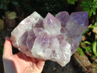 Natural Jacaranda Amethyst Quartz Cluster x 1 From Mumbwa, Zambia - Toprock Gemstones and Minerals