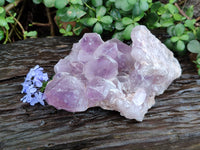 Natural Jacaranda Amethyst Quartz Cluster x 1 From Mumbwa, Zambia - Toprock Gemstones and Minerals